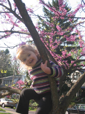 2005_04_13 Jane in Redbud Tree.jpg